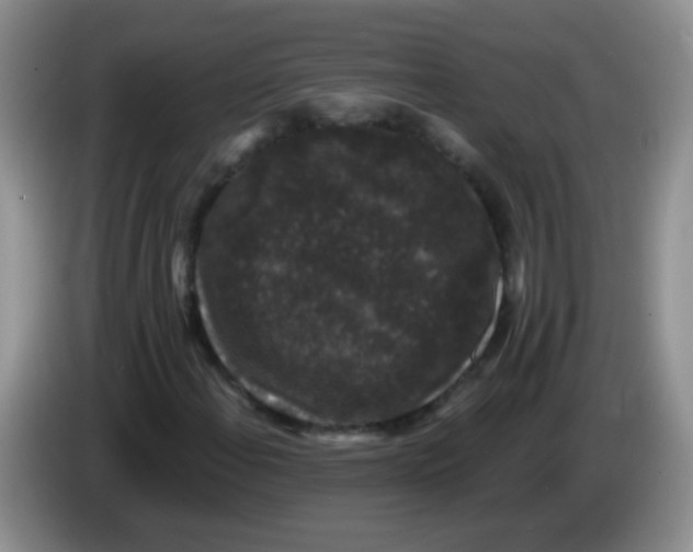 X0000084051108200703092046