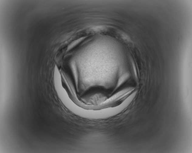 X0000084051109200703092046