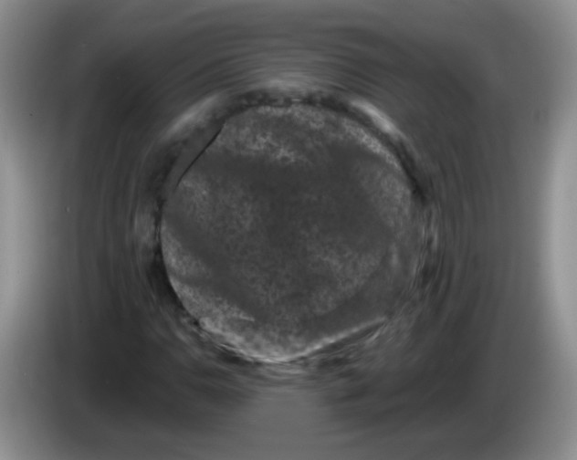 X0000084051110200703092046