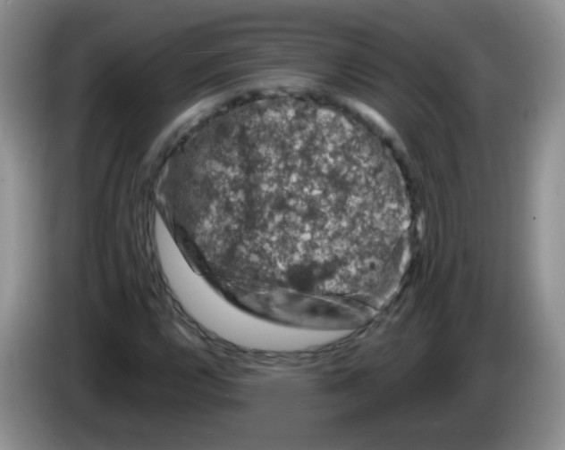 X0000084051112200703092046