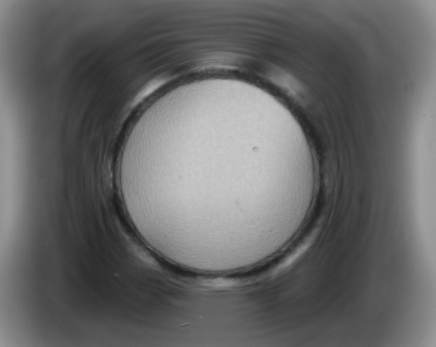 X0000084051113200703092046