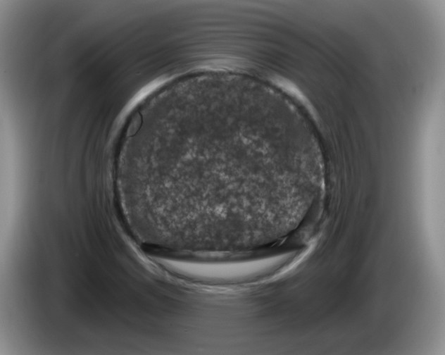 X0000084051114200703092046