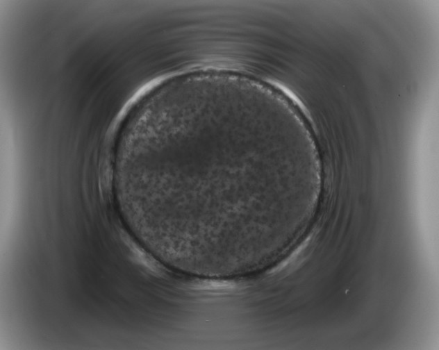 X0000084051115200703092046