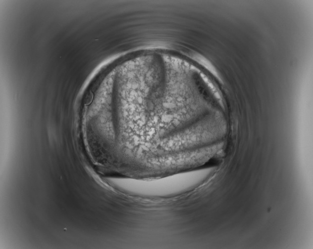 X0000084051116200703092047