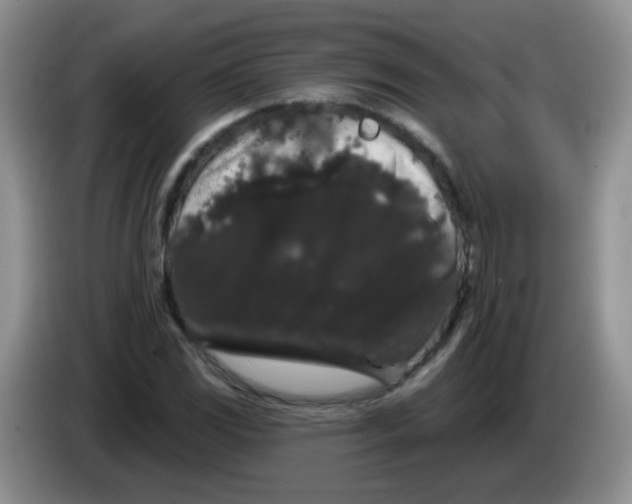 X0000084051117200703092047