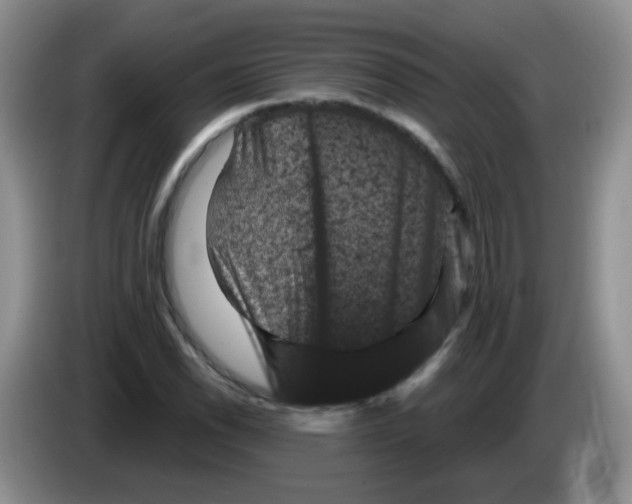 X0000084051118200703092047