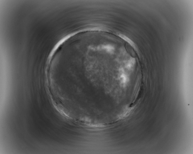 X0000084051120200703092047