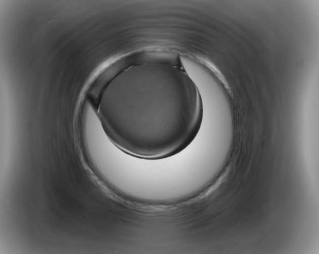 X0000084051122200703092047