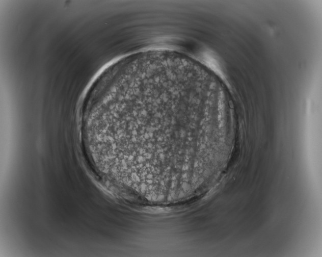 X0000084051124200703092047