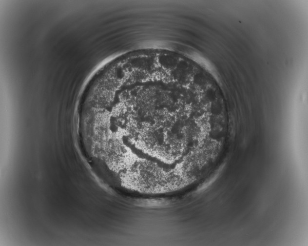 X0000084051125200703092047