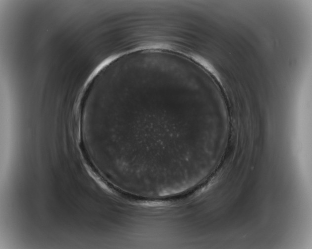 X0000084051127200703092047