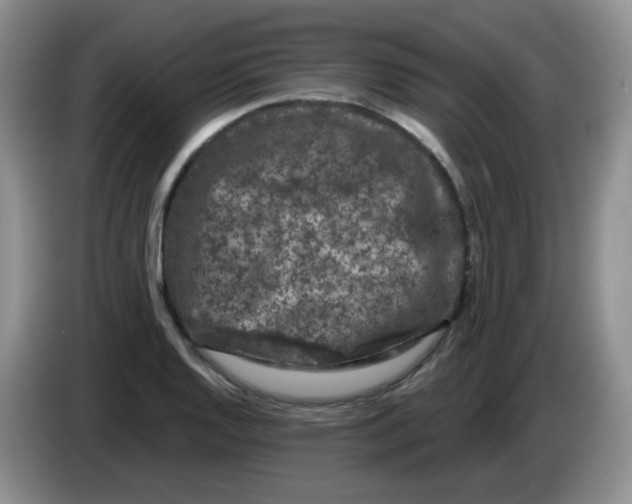 X0000084051128200703092047