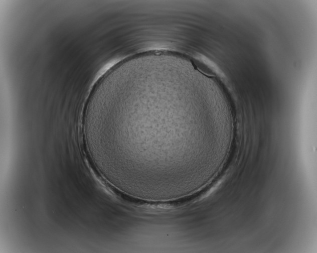 X0000084051129200703092047