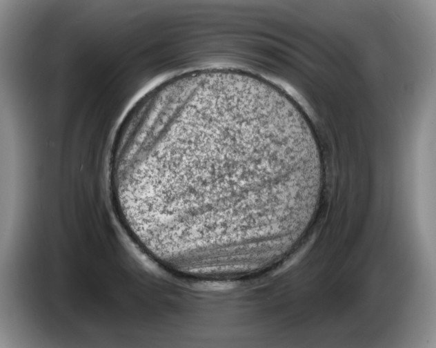 X0000084051134200703092047