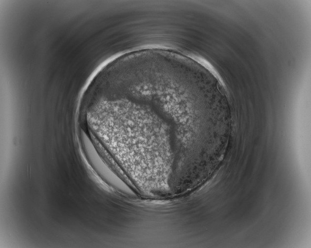 X0000084051140200703092047