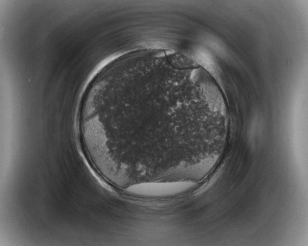 X0000084051141200703092047