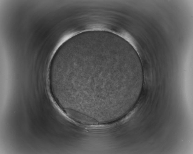 X0000084051142200703092047