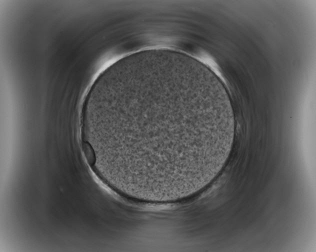 X0000084051143200703092047