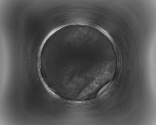 X0000084051144200703092047