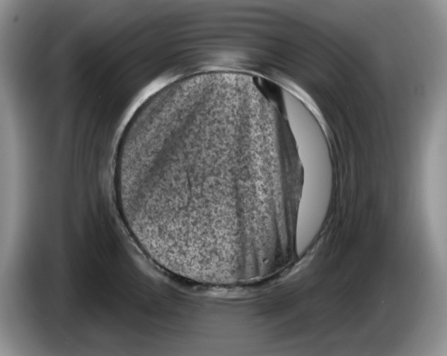 X0000084051146200703092047