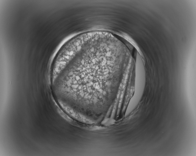 X0000084051148200703092047