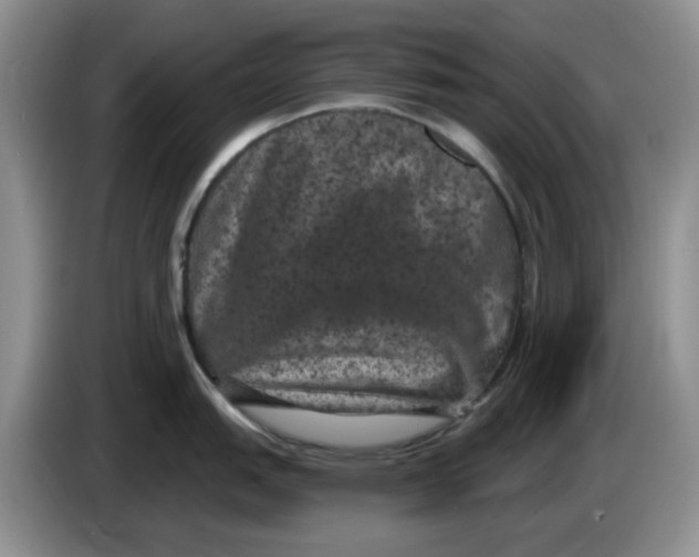 X0000084051151200703092047