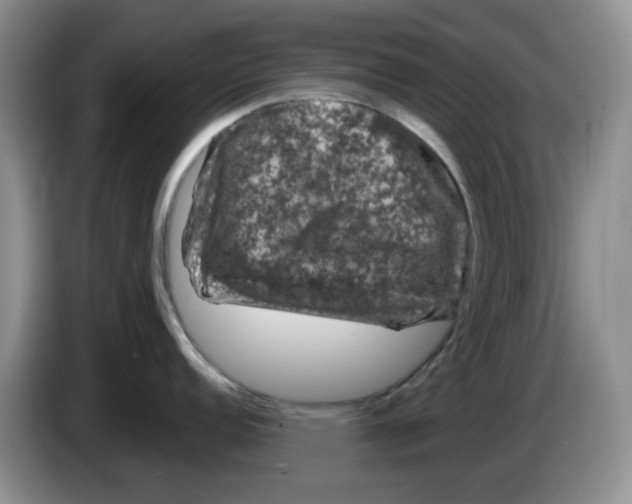 X0000084051152200703092047