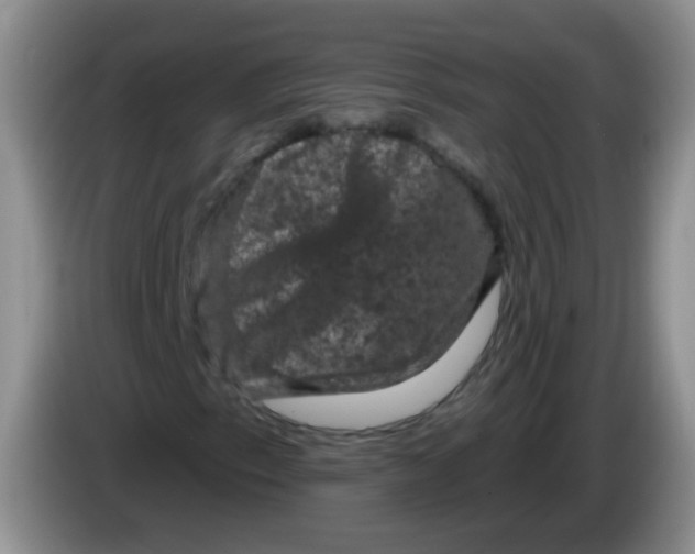 X0000084051153200703092046