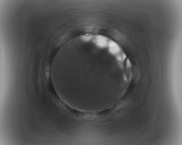 X0000084051154200703092046