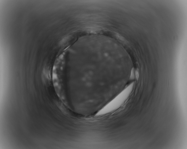 X0000084051155200703092046