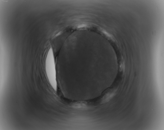 X0000084051156200703092046