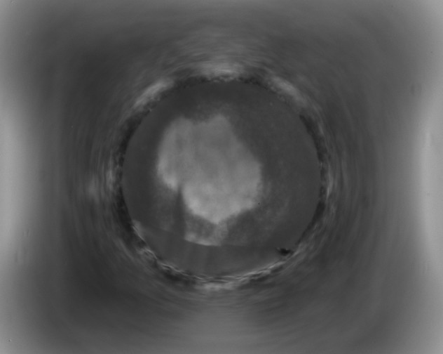 X0000084051157200703092046