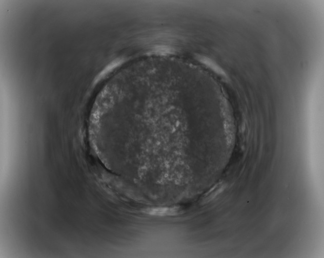 X0000084051160200703092046