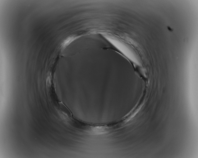 X0000084051161200703092046