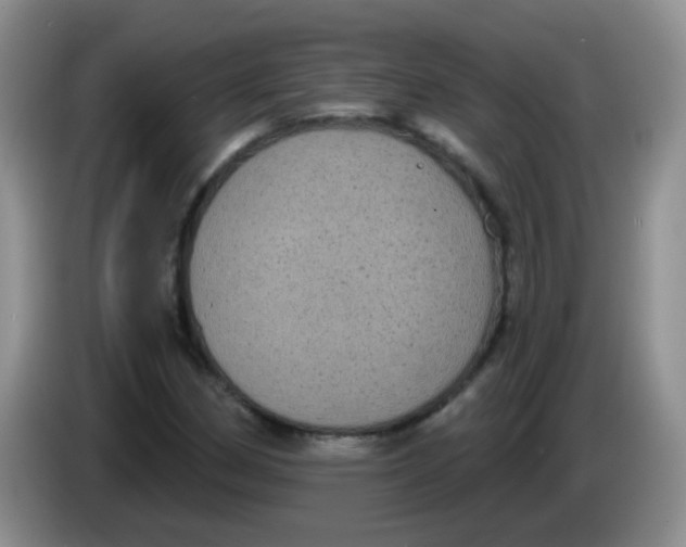 X0000084051162200703092046