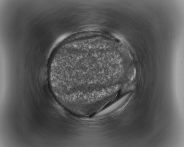 X0000084051164200703092046