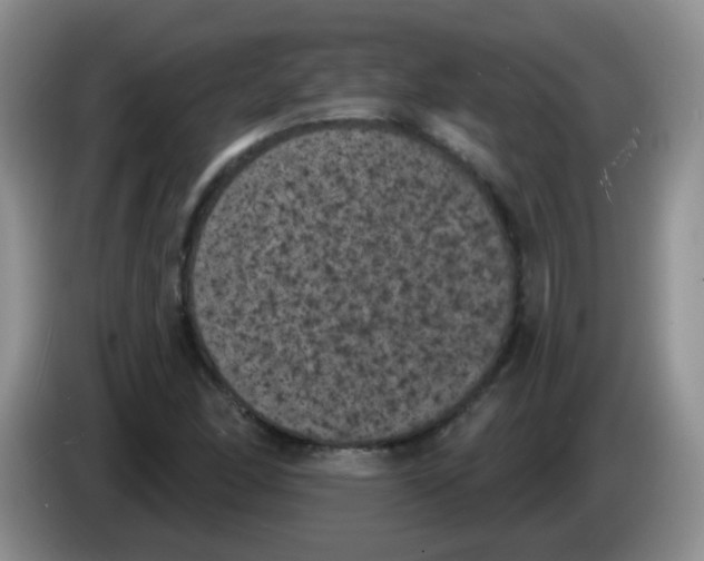 X0000084051166200703092046