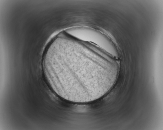 X0000084051168200703092046