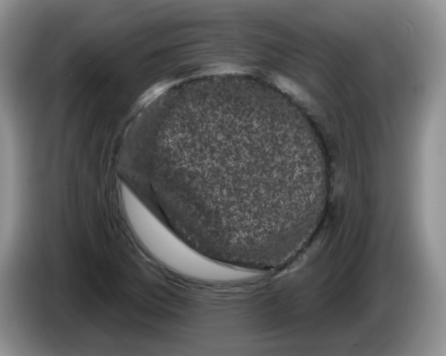 X0000084051169200703092046