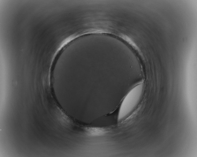 X0000084051173200703092046