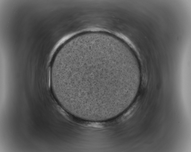 X0000084051175200703092046