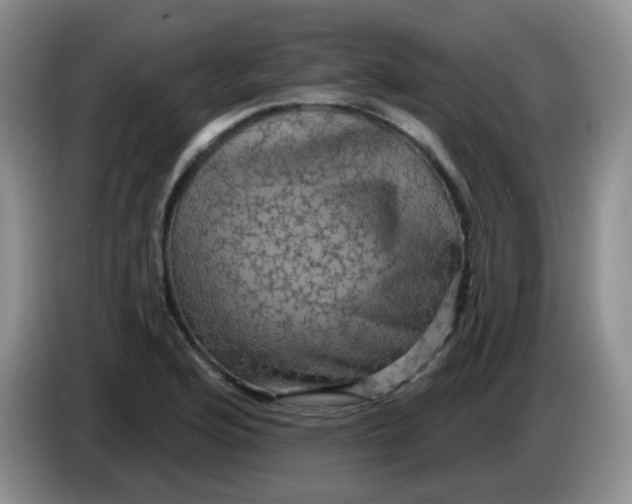 X0000084051176200703092046