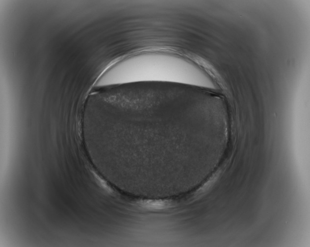 X0000084051177200703092046