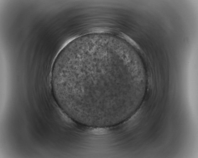 X0000084051178200703092046