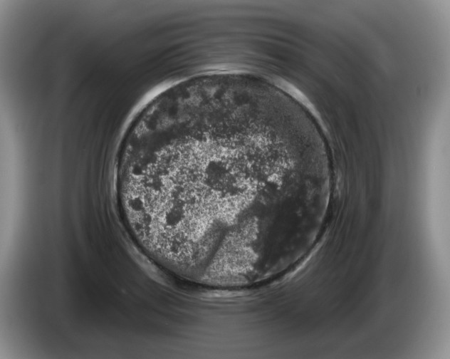 X0000084051179200703092046