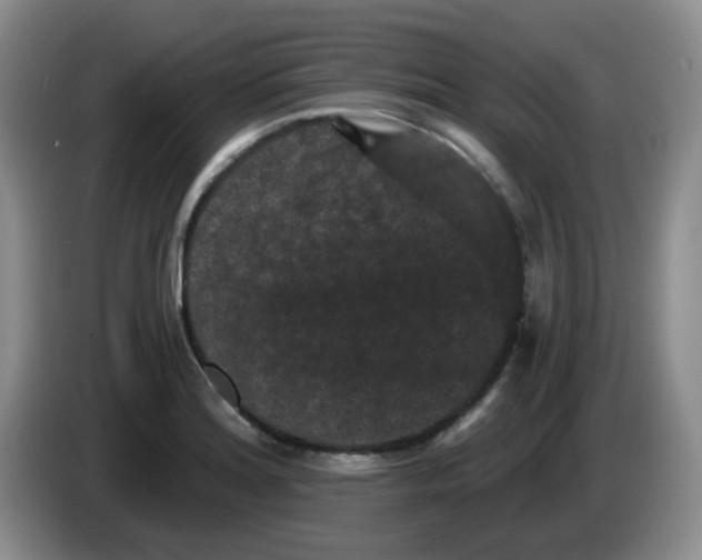 X0000084051180200703092046