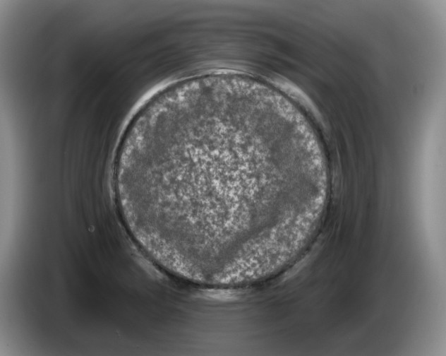 X0000084051182200703092046