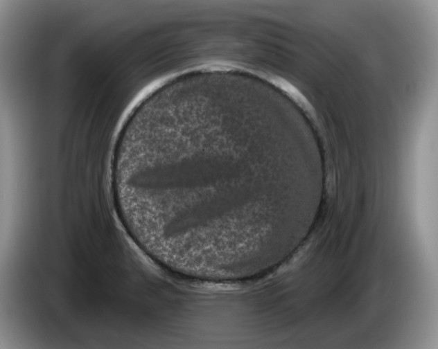 X0000084051183200703092046