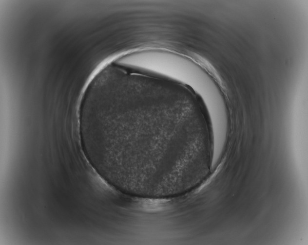 X0000084051184200703092046