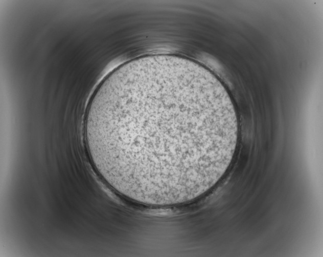 X0000084051186200703092046